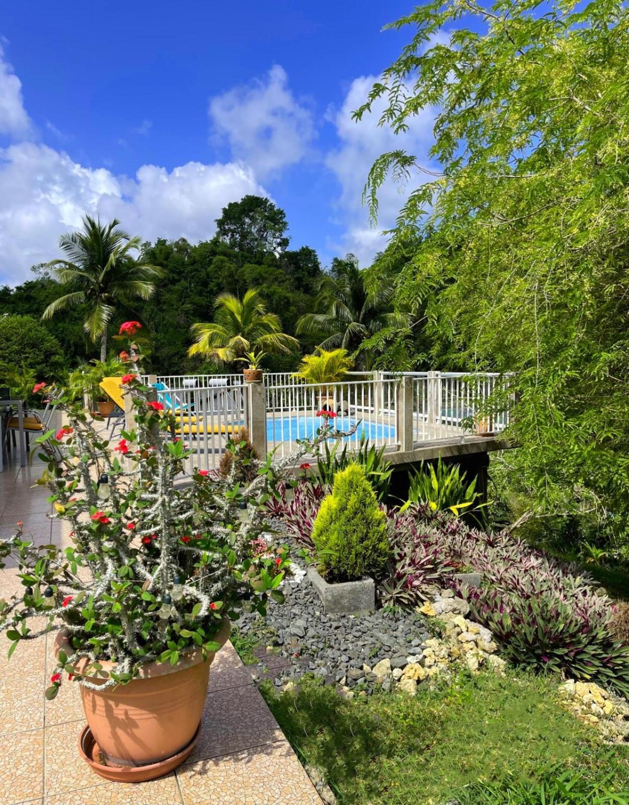 La Villa Ixora, Magnifique Villa Avec Piscine Les Abymes Exterior photo